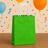 Soft Light Green Gift Bag