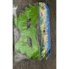 Lot de 6 Masques de Fête Métallisés Verts