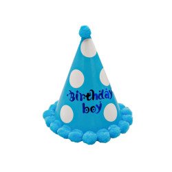 "Birthday Boy" Birthday Hat with Pom Poms (Single)